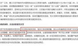 庆阳头条最新爆料,揭秘重大事件背后真相！