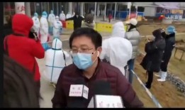 诸葛亮爆料最新视频大全,揭秘历史真相与智慧结晶